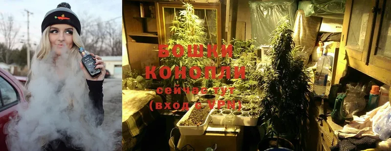 Бошки Шишки Ganja  Ревда 